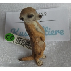 c kaufen  Startseite - {shop_name}